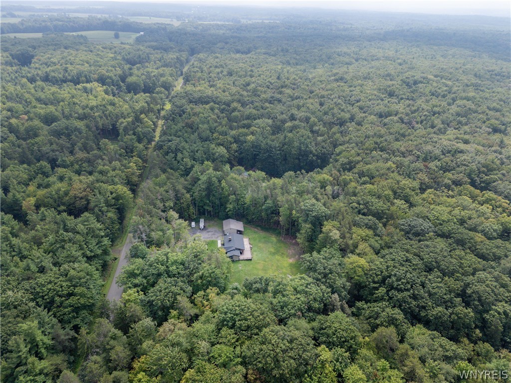 9852 Larkin Road Eden, NY 14057 - Photo 8 of 46 Gallery Image 8