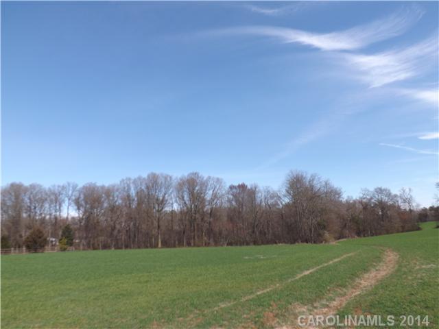 0 Justin Braswell Road Monroe, NC 28110 - Photo 6 of 6 a view of grassy field with mountain in the background