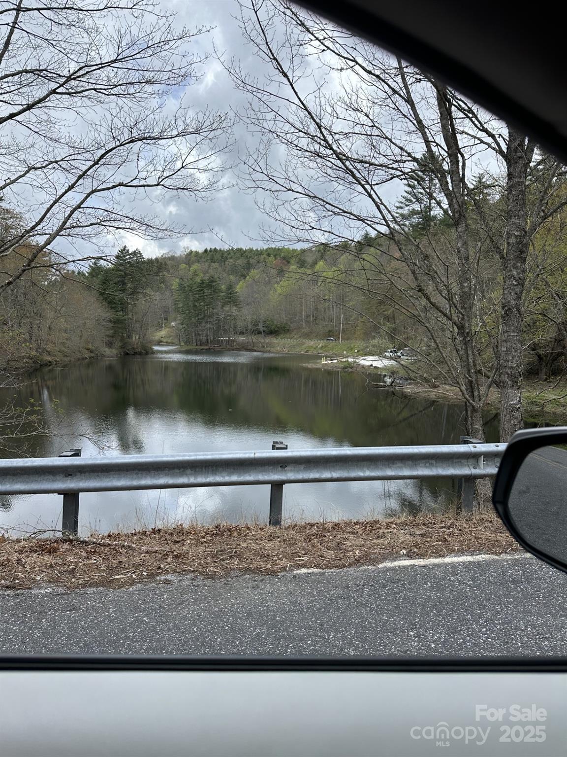 0 Dodgen Ridge Road Tuckasegee, NC 28783 - Photo 10 of 18