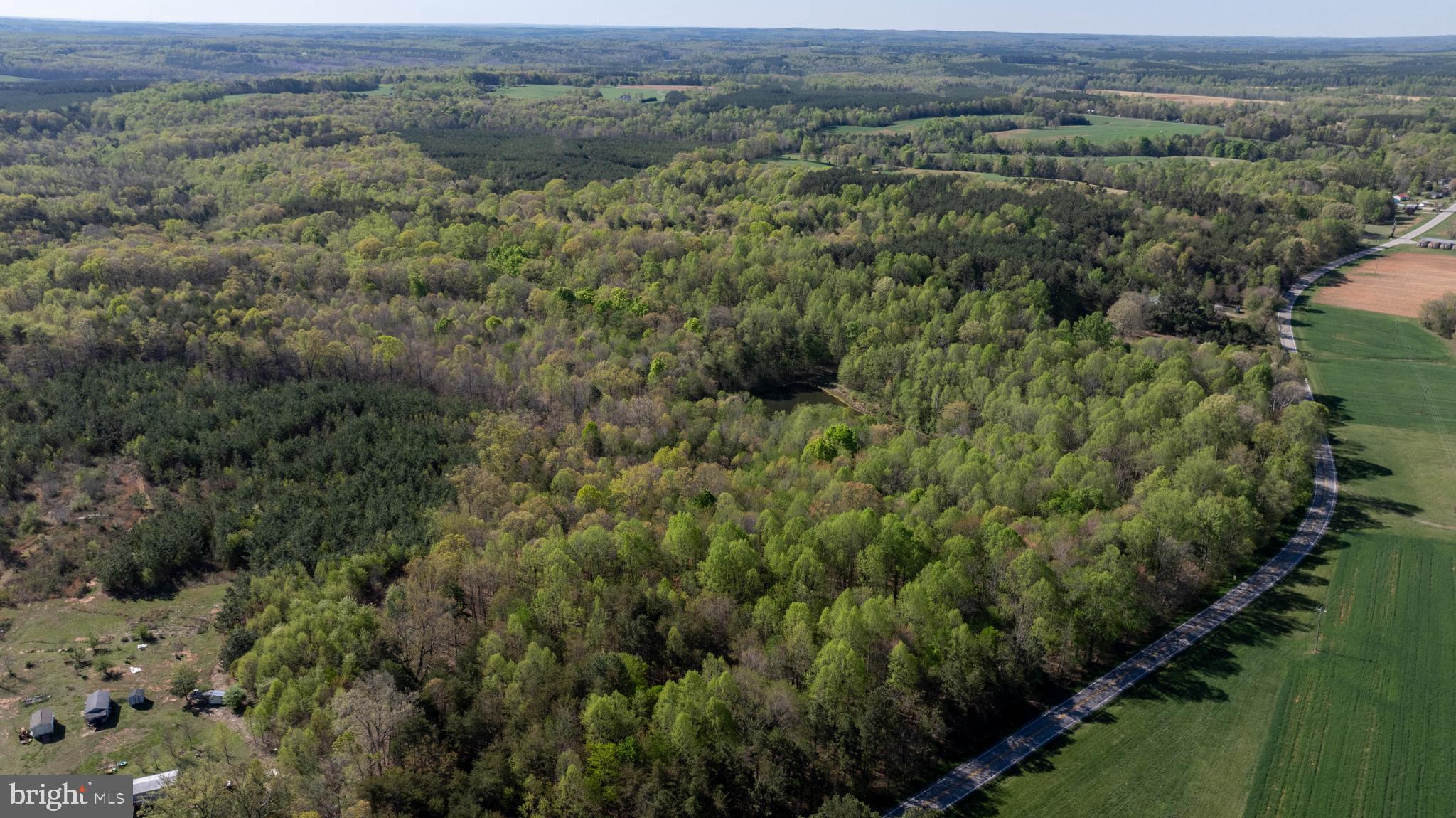 Tbd Riceville Road, Unit LOT 1 Java, VA 24565 - Photo 15 of 33