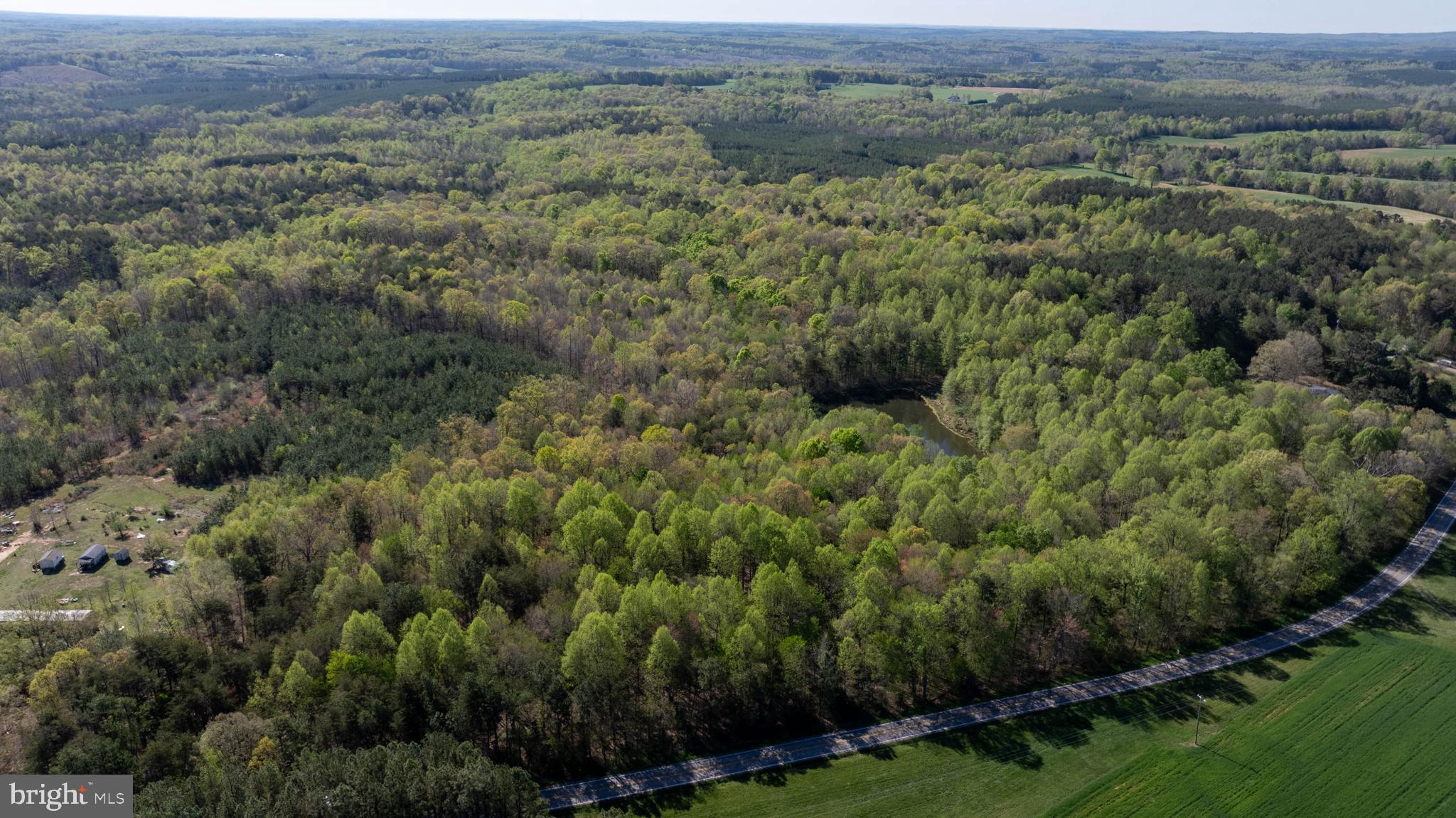 Tbd Riceville Road, Unit LOT 1 Java, VA 24565 - Photo 16 of 33