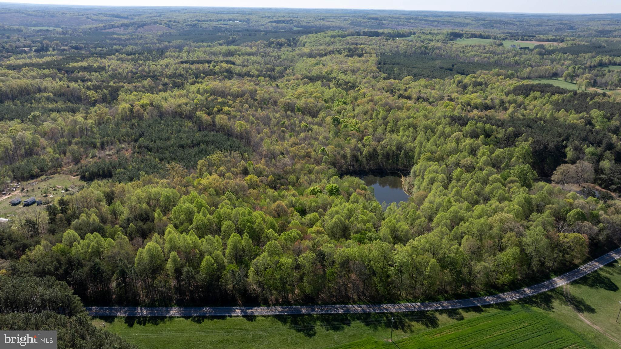 Tbd Riceville Road, Unit LOT 1 Java, VA 24565 - Photo 17 of 33