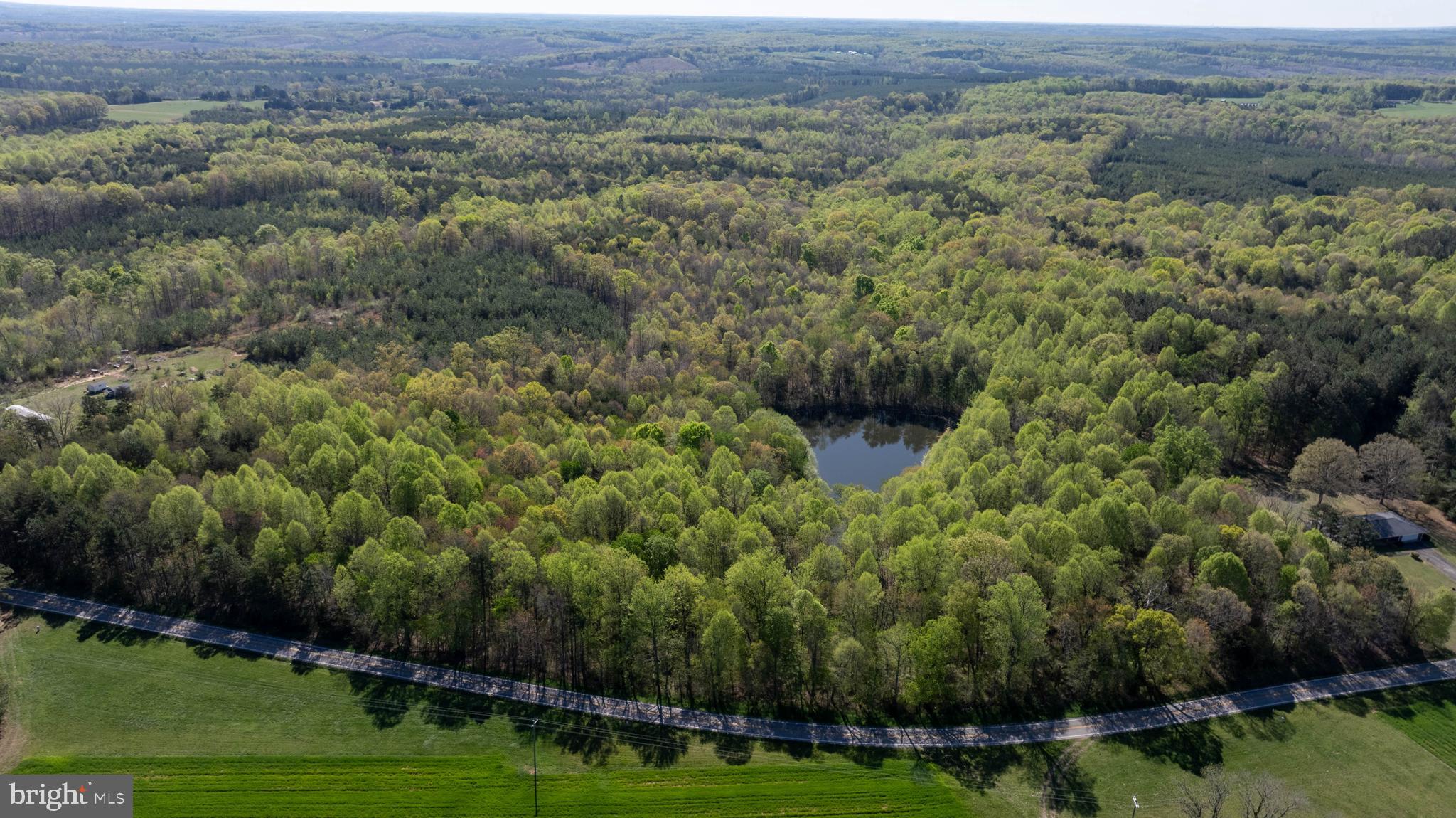 Tbd Riceville Road, Unit LOT 1 Java, VA 24565 - Photo 18 of 33