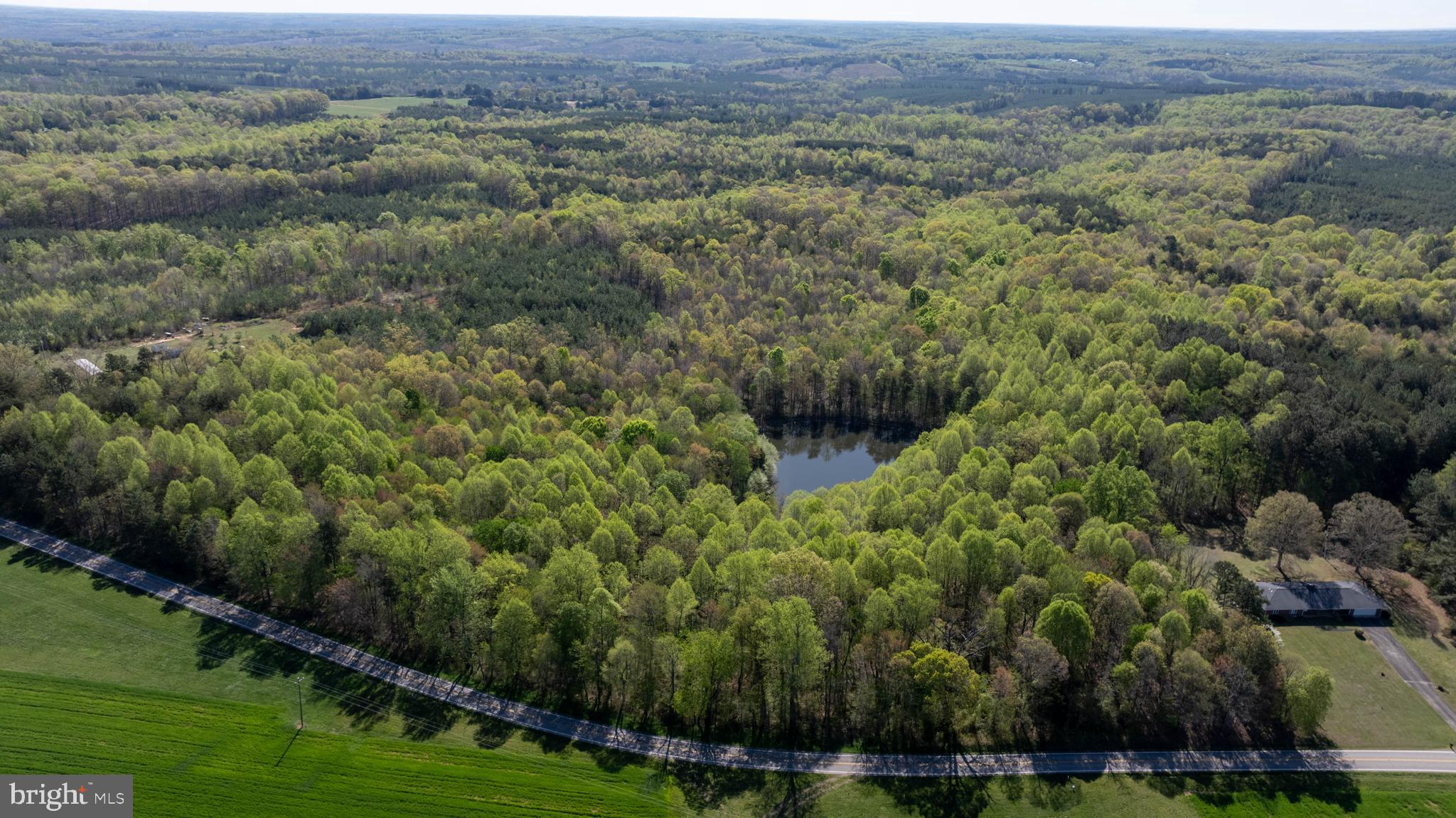 Tbd Riceville Road, Unit LOT 1 Java, VA 24565 - Photo 19 of 33