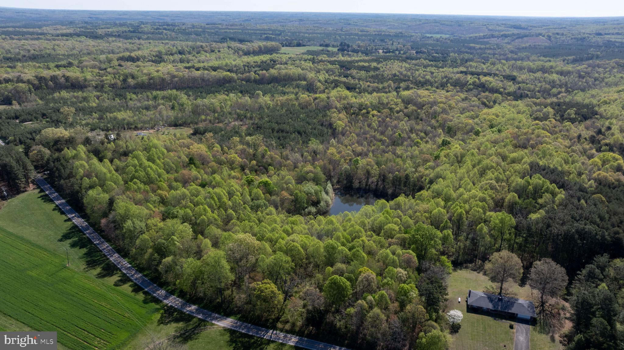 Tbd Riceville Road, Unit LOT 1 Java, VA 24565 - Photo 20 of 33