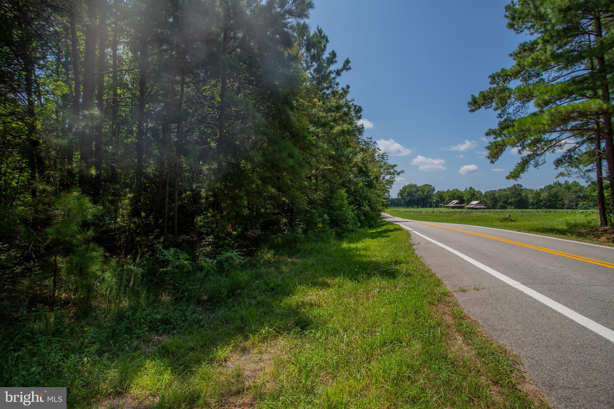 Tbd Riceville Road, Unit LOT 1 Java, VA 24565 - Photo 2 of 33