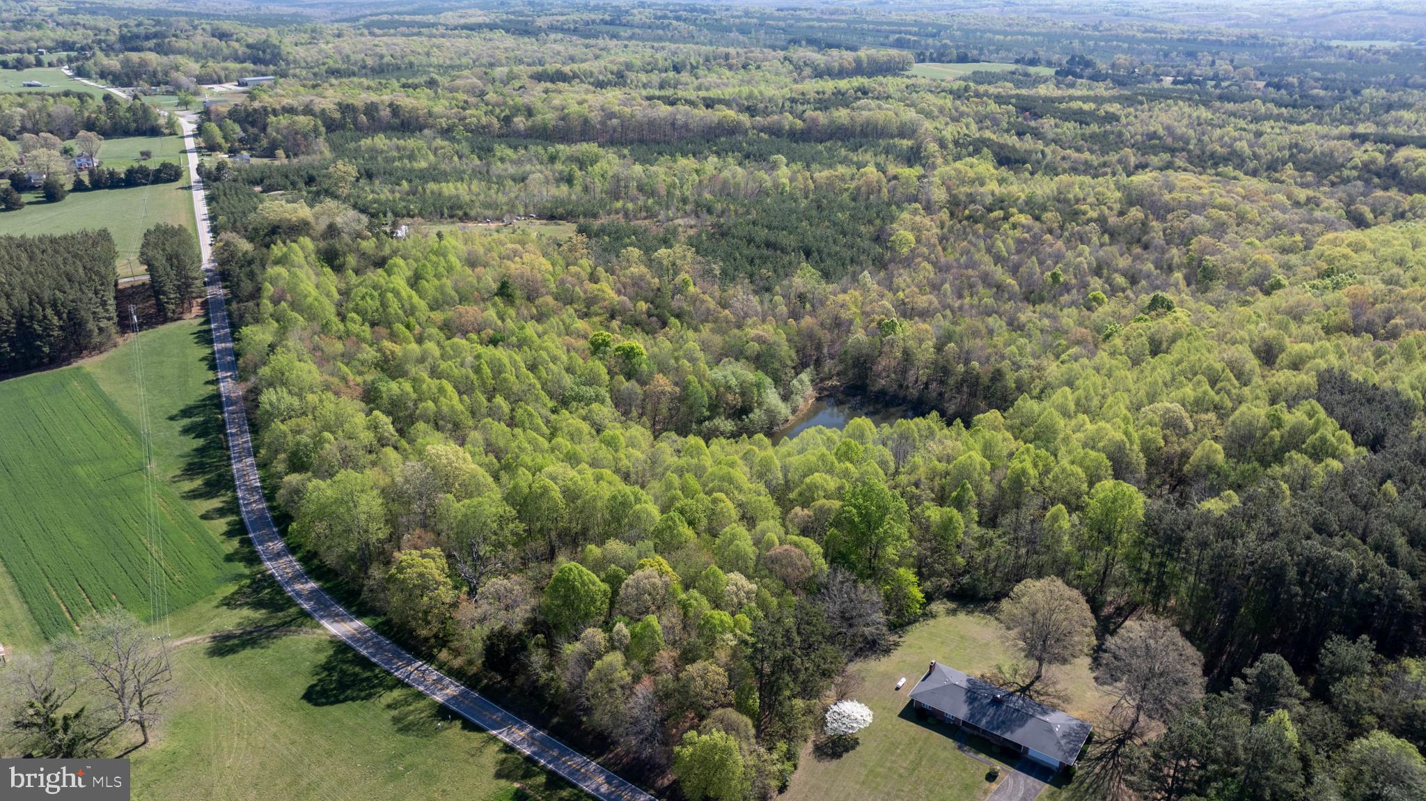 Tbd Riceville Road, Unit LOT 1 Java, VA 24565 - Photo 22 of 33