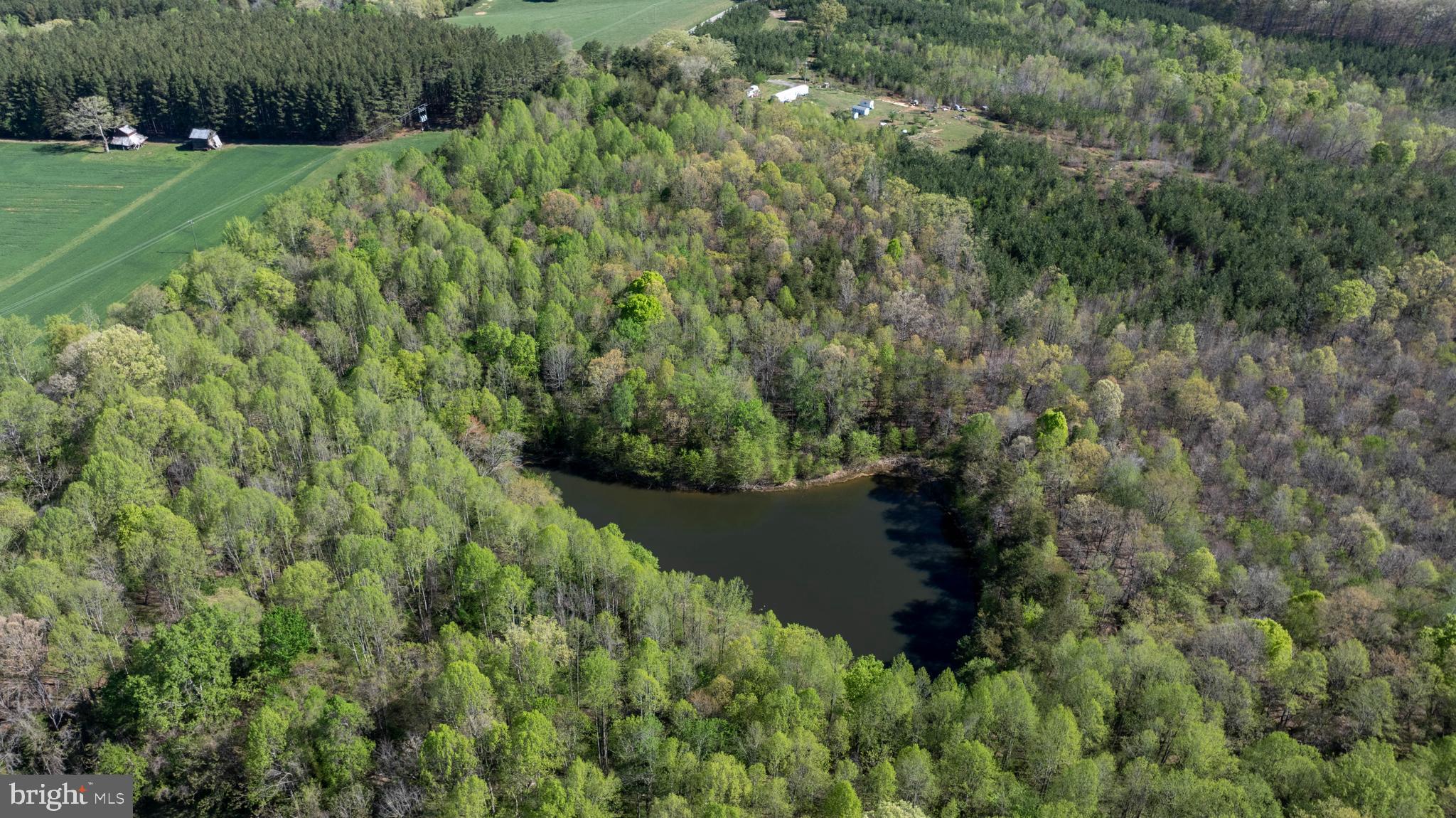 Tbd Riceville Road, Unit LOT 1 Java, VA 24565 - Photo 23 of 33