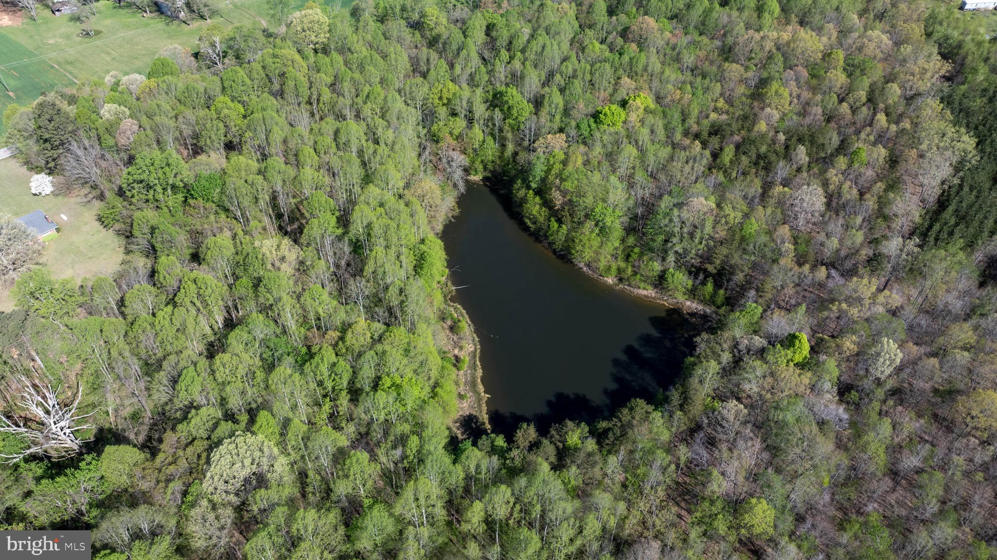 Tbd Riceville Road, Unit LOT 1 Java, VA 24565 - Photo 25 of 33