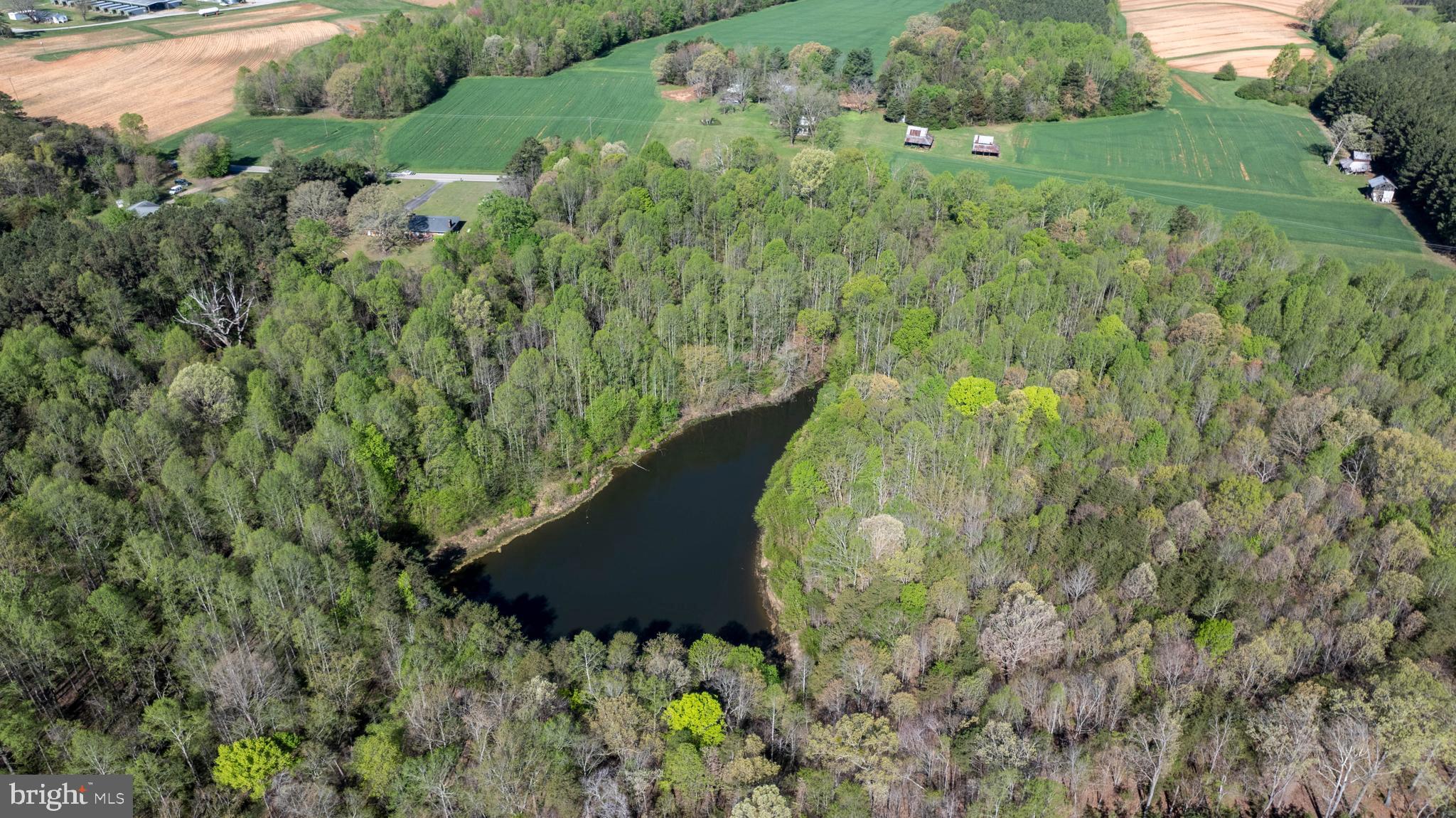Tbd Riceville Road, Unit LOT 1 Java, VA 24565 - Photo 26 of 33