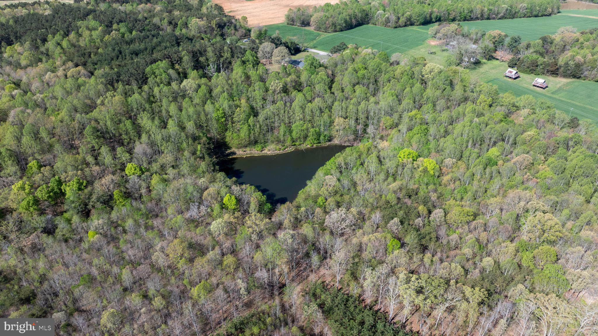 Tbd Riceville Road, Unit LOT 1 Java, VA 24565 - Photo 27 of 33