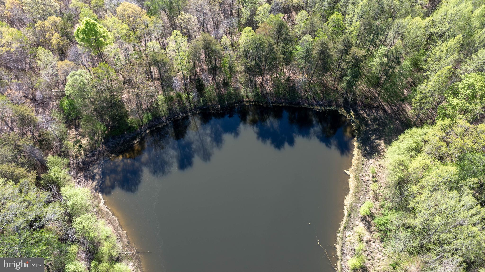 Tbd Riceville Road, Unit LOT 1 Java, VA 24565 - Photo 30 of 33