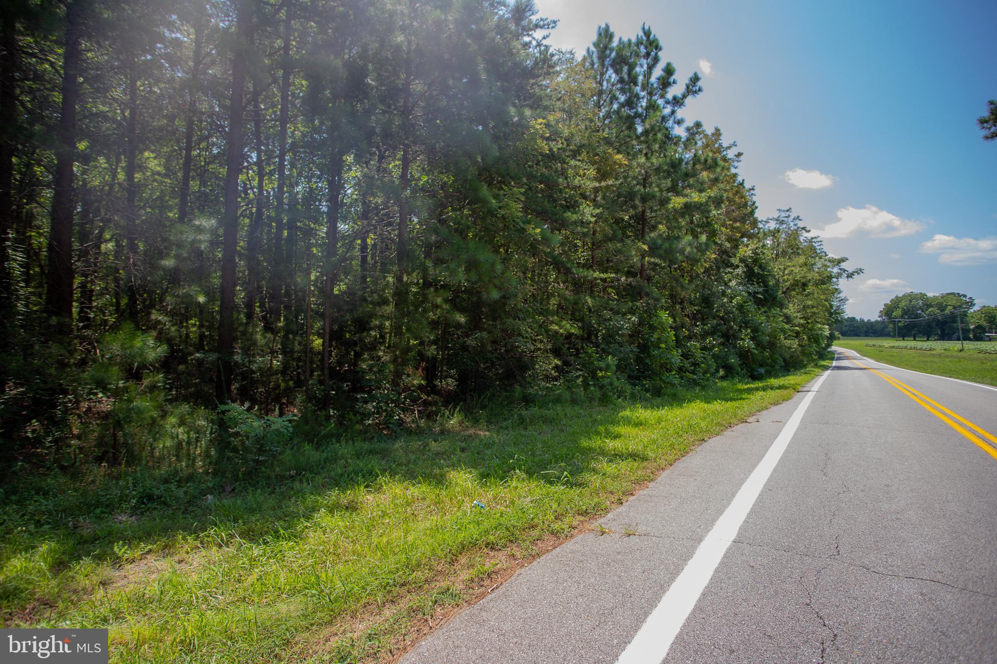 Tbd Riceville Road, Unit LOT 1 Java, VA 24565 - Photo 3 of 33