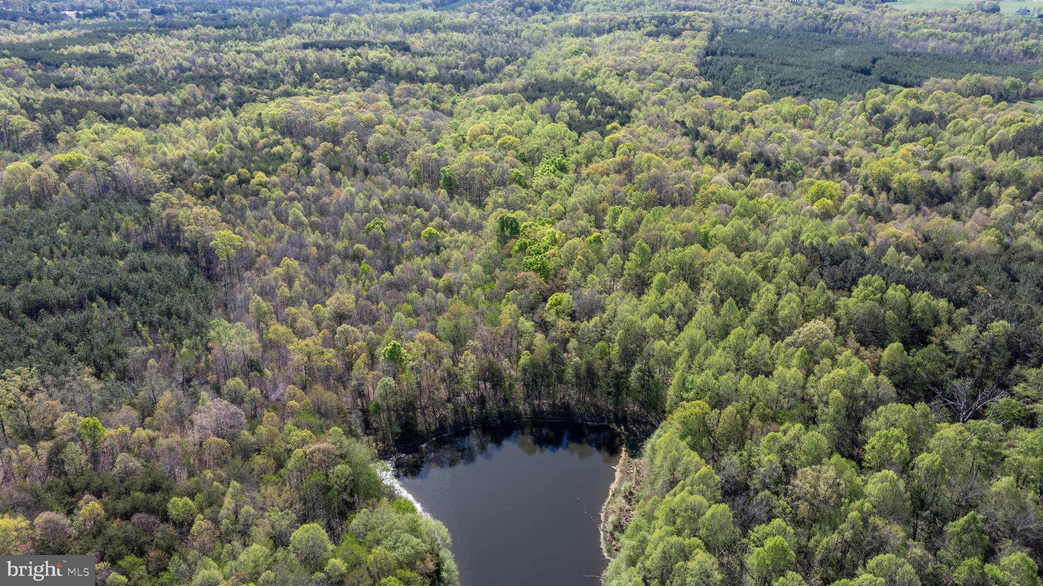 Tbd Riceville Road, Unit LOT 1 Java, VA 24565 - Photo 32 of 33