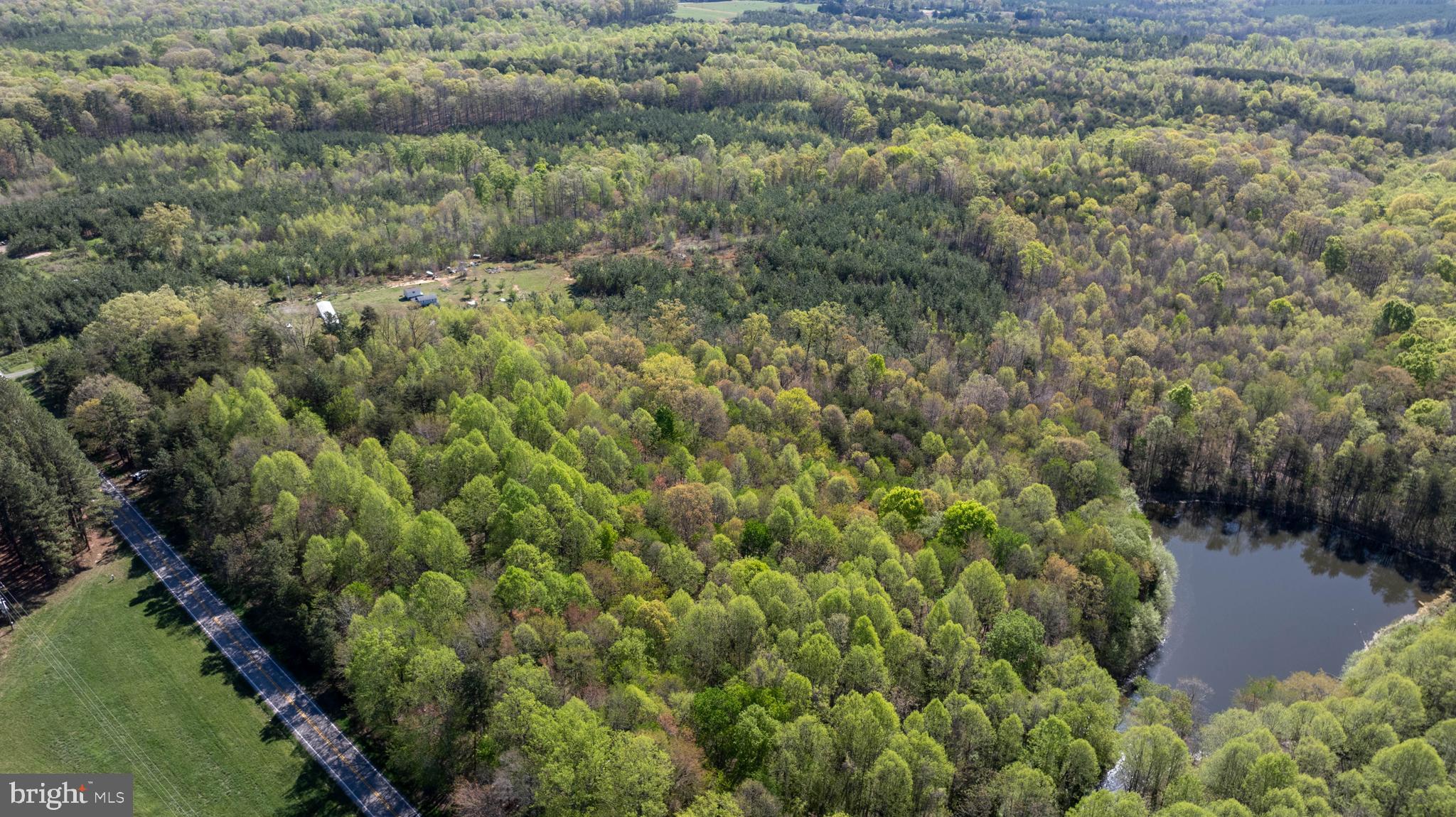 Tbd Riceville Road, Unit LOT 1 Java, VA 24565 - Photo 33 of 33