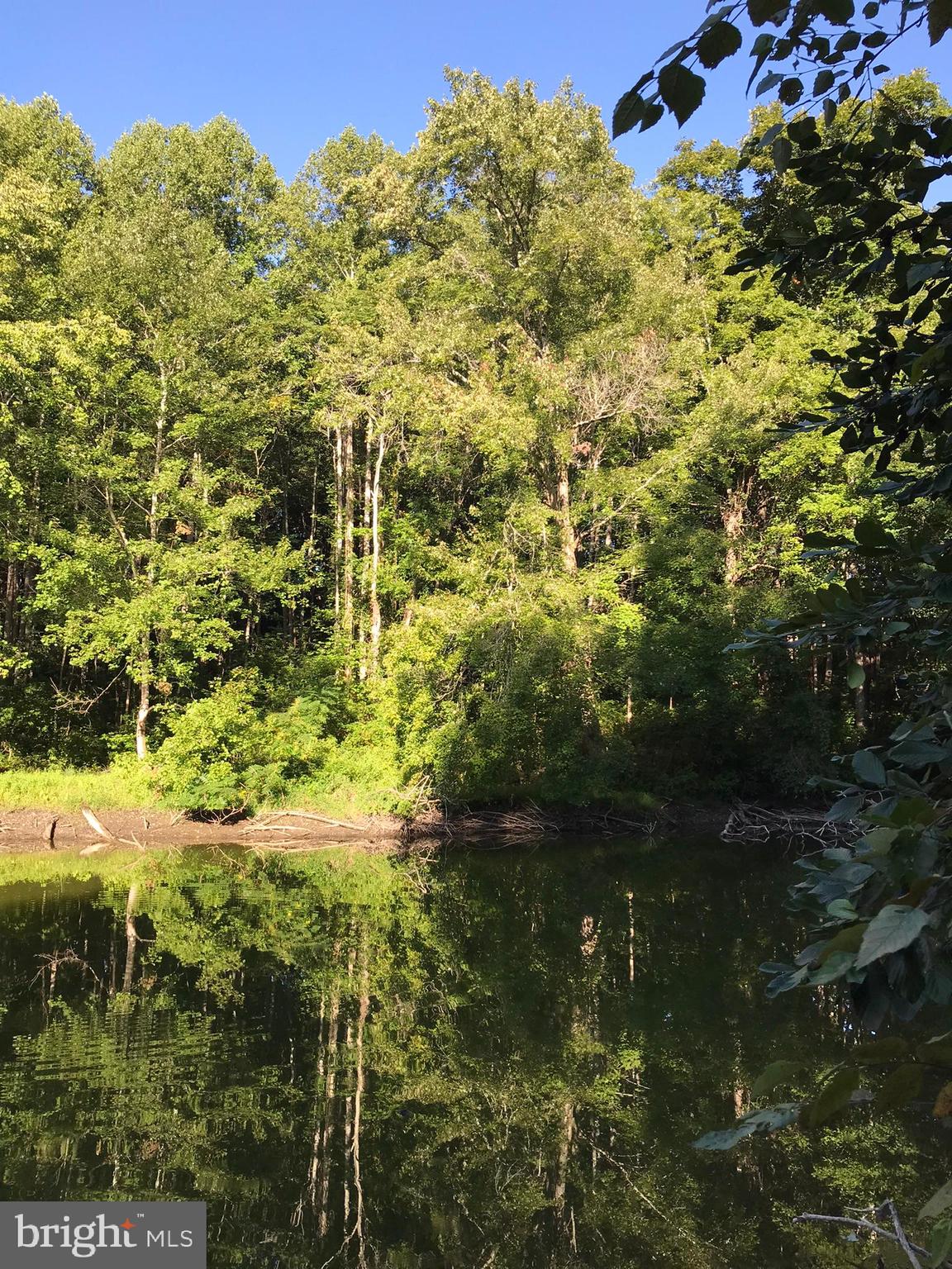 Tbd Riceville Road, Unit LOT 1 Java, VA 24565 - Photo 6 of 33