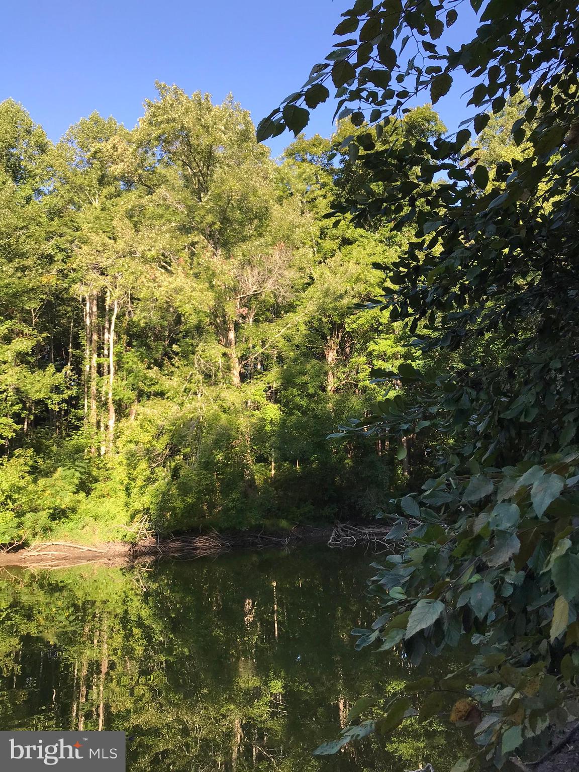 Tbd Riceville Road, Unit LOT 1 Java, VA 24565 - Photo 7 of 33