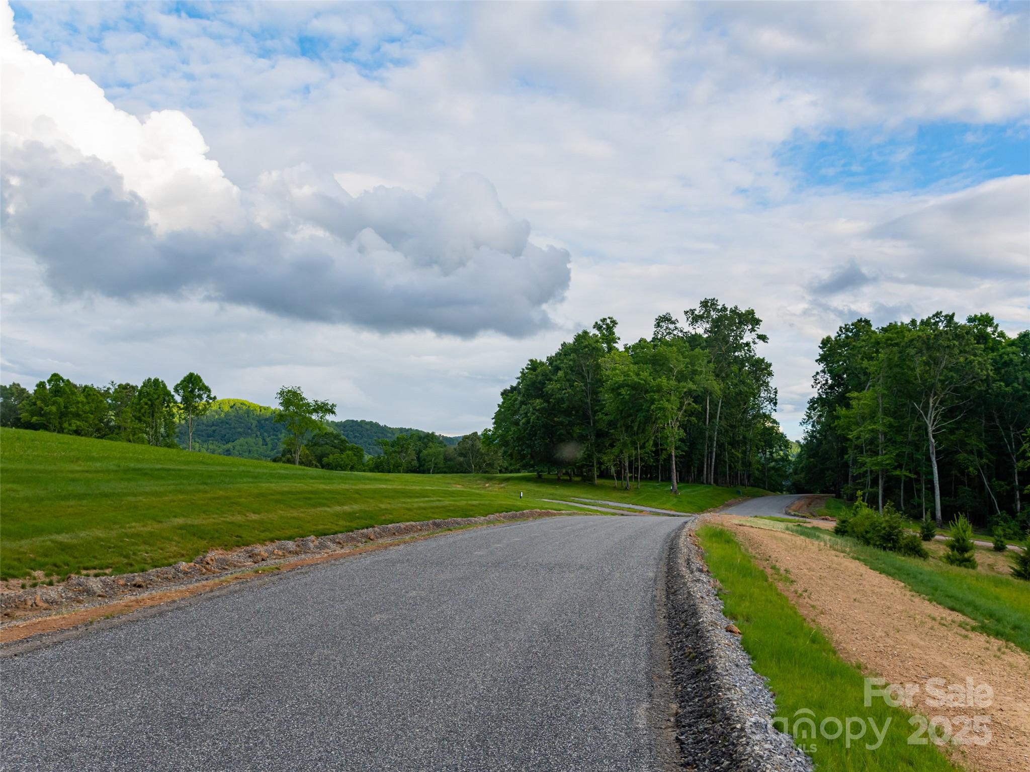 246 Turkey Ridge Road, Unit 14 Fletcher, NC 28732 - Photo 1 of 15 Gallery Image 1