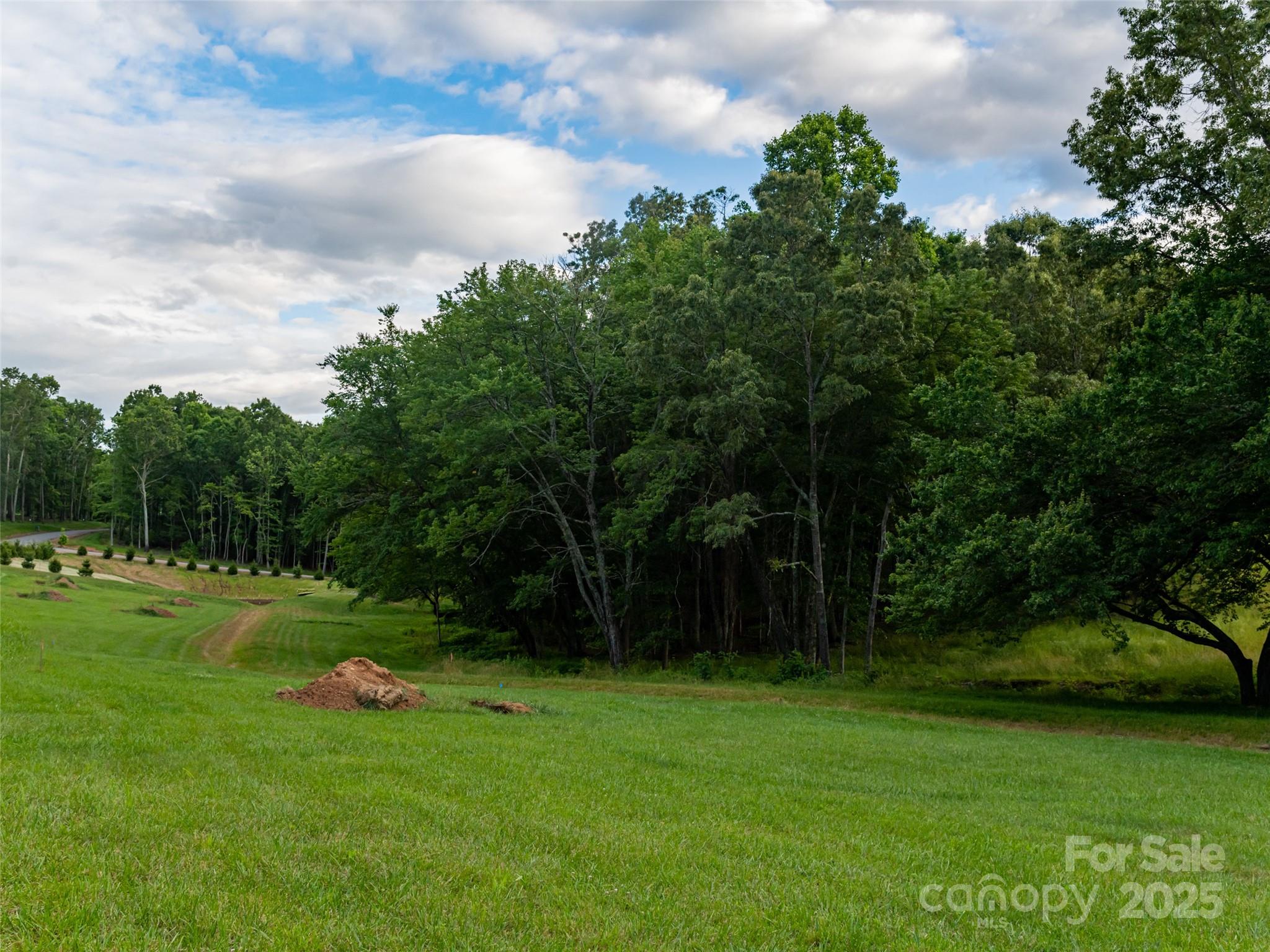 246 Turkey Ridge Road, Unit 14 Fletcher, NC 28732 - Photo 13 of 15 Gallery Image 13