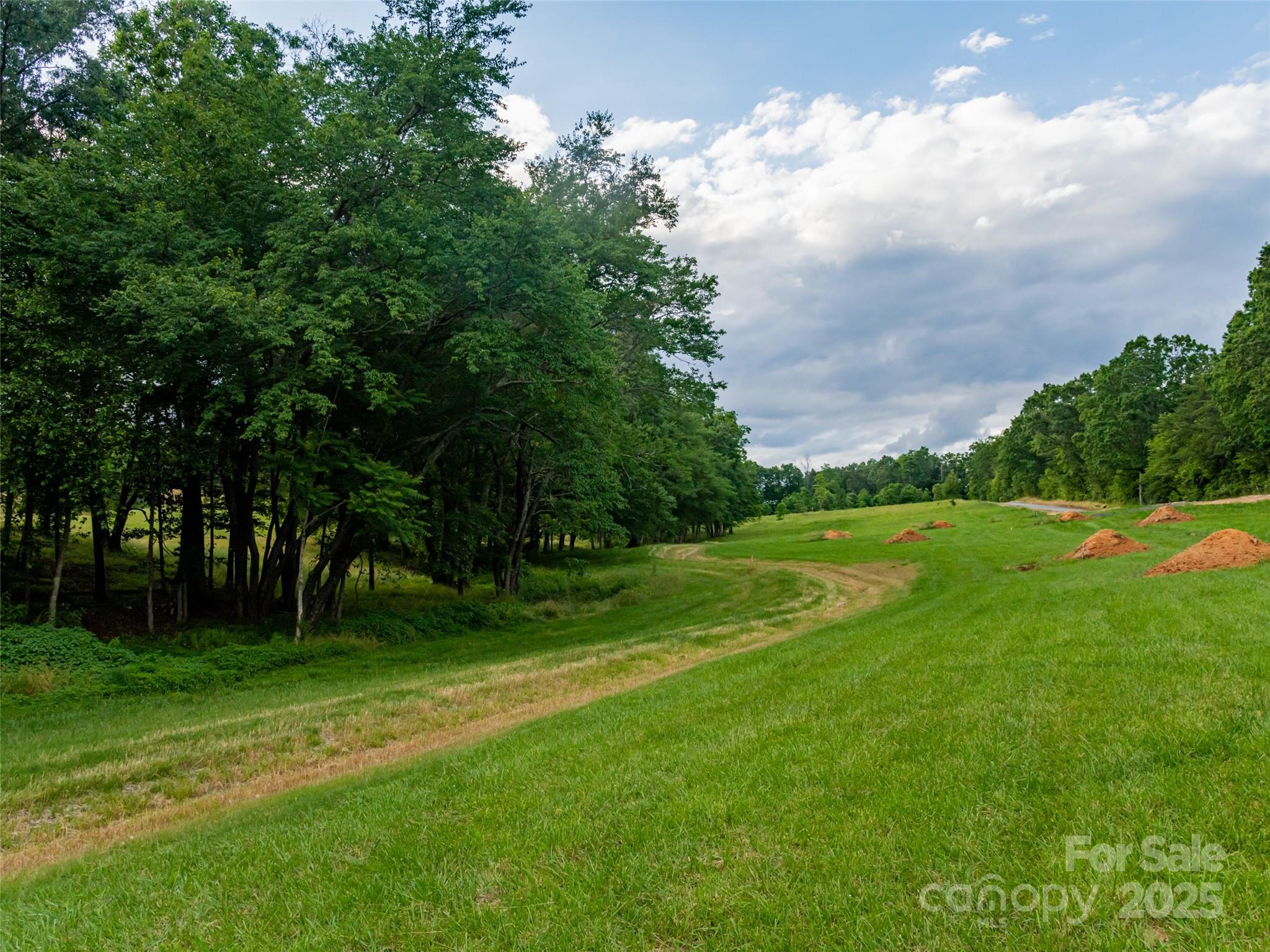 246 Turkey Ridge Road, Unit 14 Fletcher, NC 28732 - Photo 3 of 15 Gallery Image 3