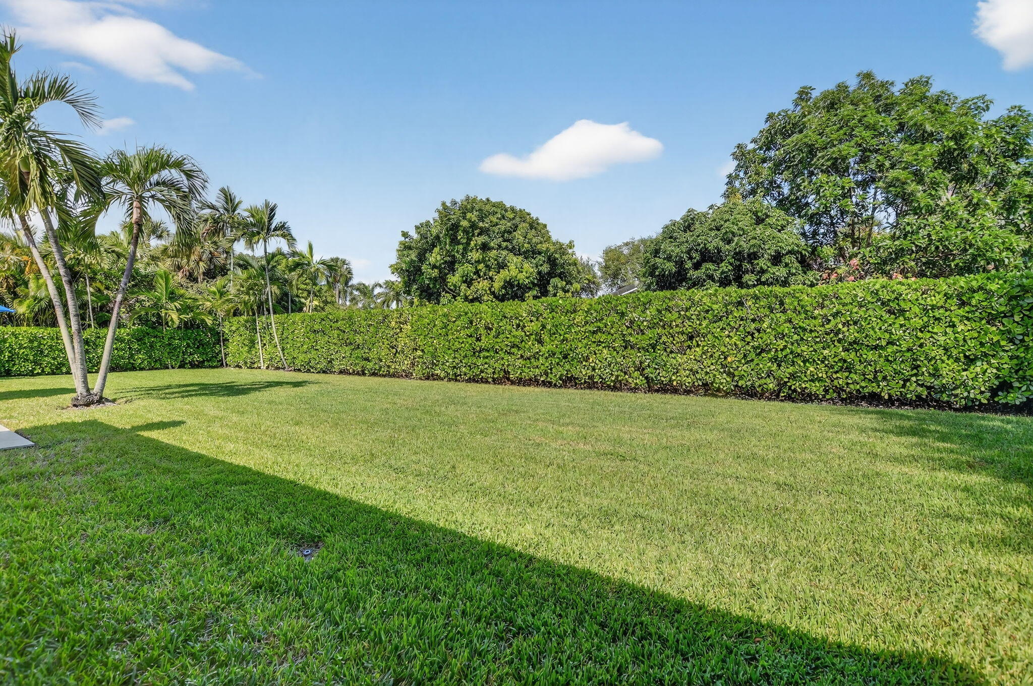 801 Southwest 16th Street Boca Raton, FL 33486 - Photo 25 of 28 Backyard