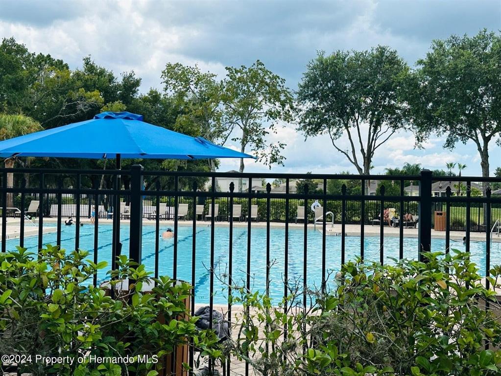 13761 Weatherstone Drive Spring Hill, FL 34609 - Photo 77 of 95