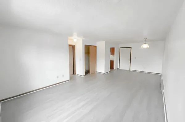 a view of a big room with closet and wooden floor
