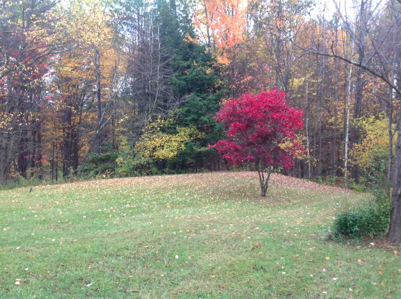 380 Streeter Hill Road Chesterfield, NH 03466 - Photo 8 of 20