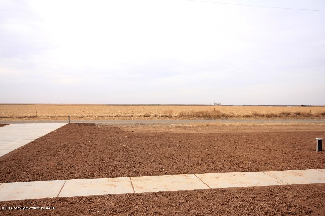 15313 South Dowell Road Amarillo, TX 79119 - Photo 47 of 47 Front Yard