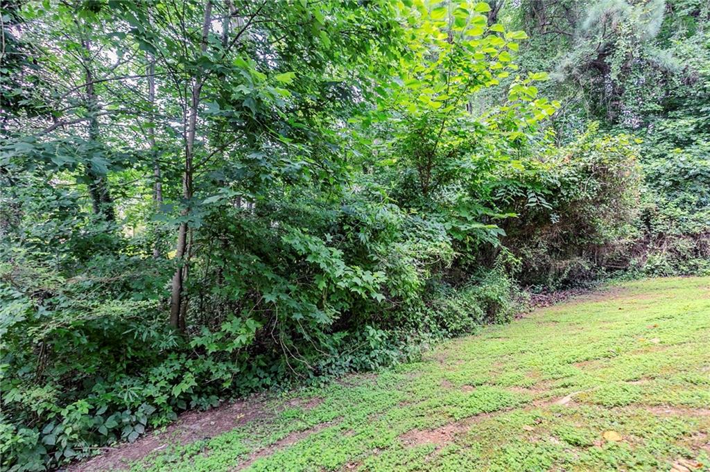 3822 Conley Downs Lane Decatur, GA 30034 - Photo 38 of 46 a view of a yard with a tree