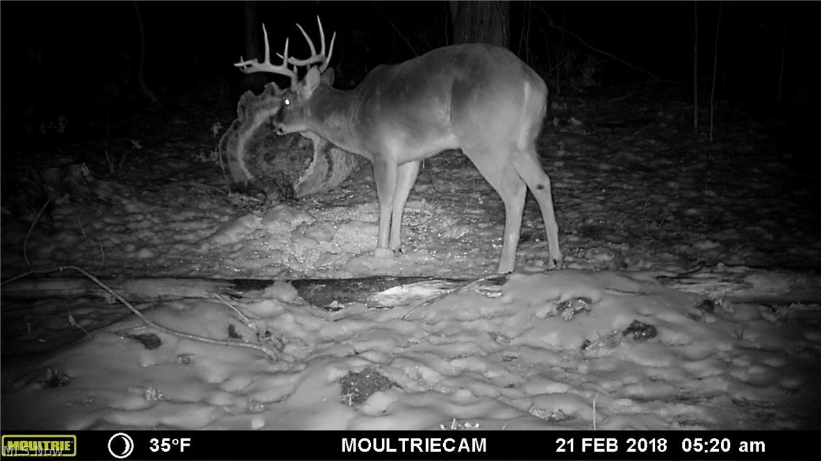 87 State Route Orwell, OH 44076 - Photo 16 of 31 Gallery Image 16