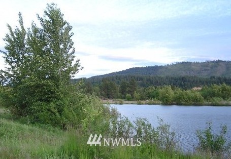 0 Masterson Road Cle Elum, WA 98922 - Photo 2 of 24 Gallery Image 2