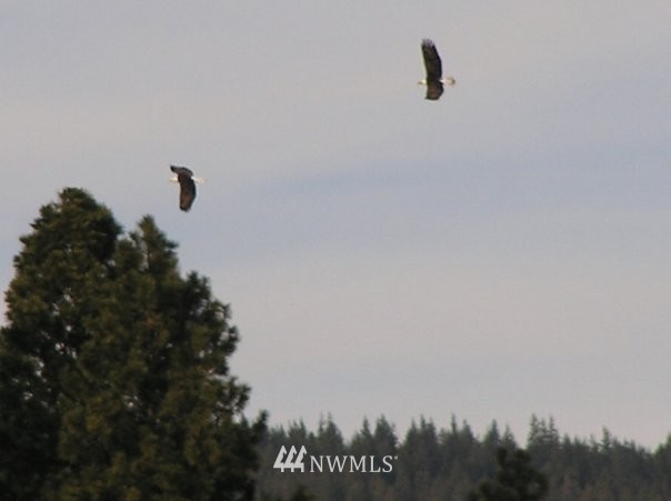 0 Masterson Road Cle Elum, WA 98922 - Photo 15 of 24 Gallery Image 15