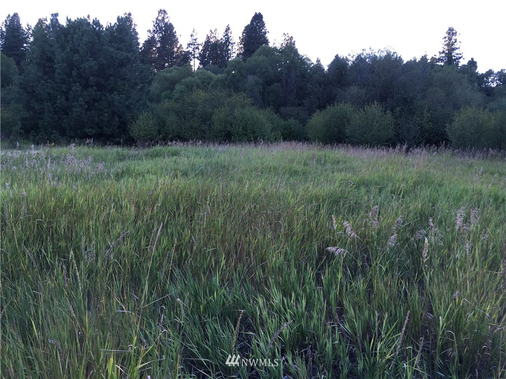 0 Masterson Road Cle Elum, WA 98922 - Photo 20 of 24 Gallery Image 20