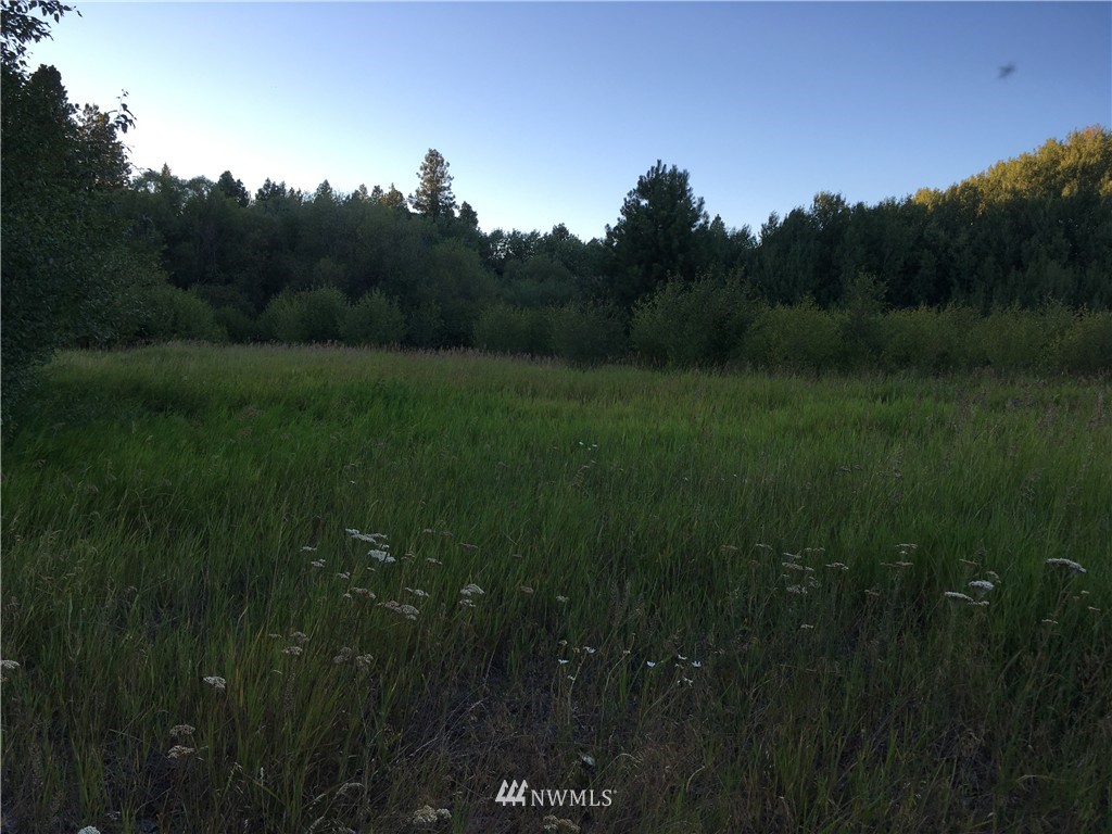 0 Masterson Road Cle Elum, WA 98922 - Photo 3 of 24 Gallery Image 3