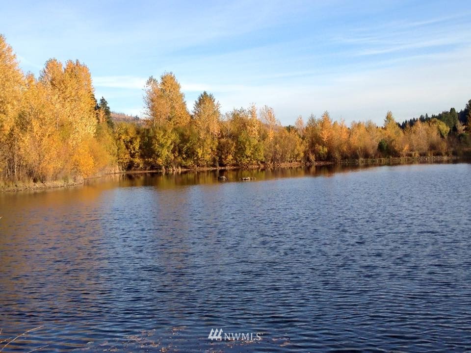 0 Masterson Road Cle Elum, WA 98922 - Photo 4 of 24 Gallery Image 4
