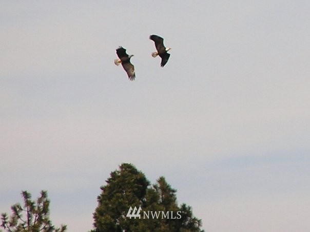 0 Masterson Road Cle Elum, WA 98922 - Photo 8 of 24 Gallery Image 8