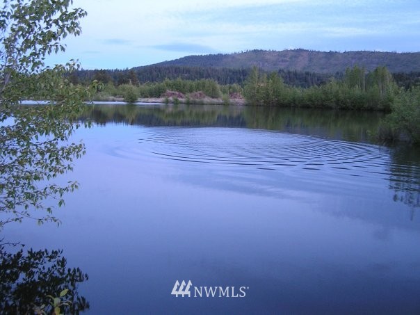 0 Masterson Road Cle Elum, WA 98922 - Photo 10 of 24 Gallery Image 10