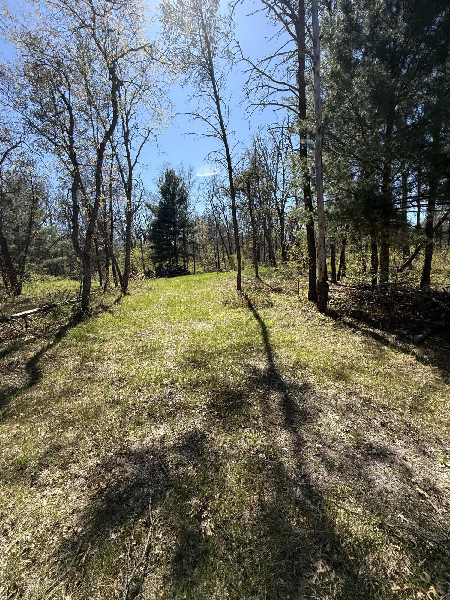 4097 South Michway Road Baldwin, MI 49304 - Photo 14 of 20 IMG_0535