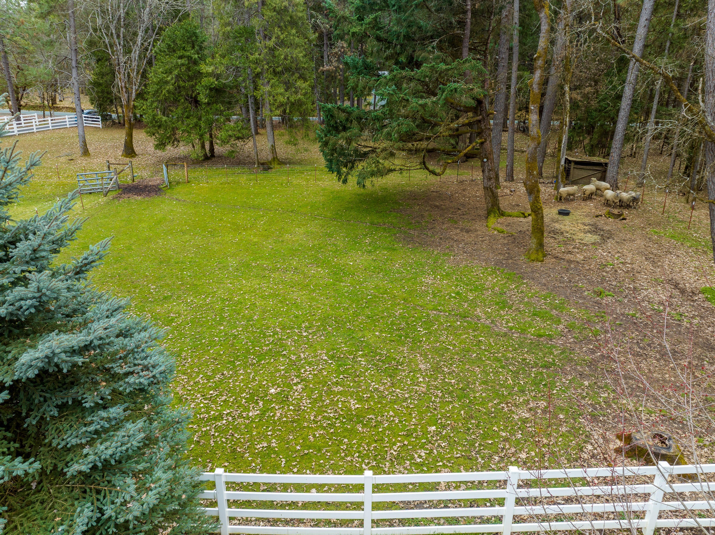 5980 Donaldson Road Grants Pass, OR 97526 - Photo 48 of 48 5980DonaldsonRd-052