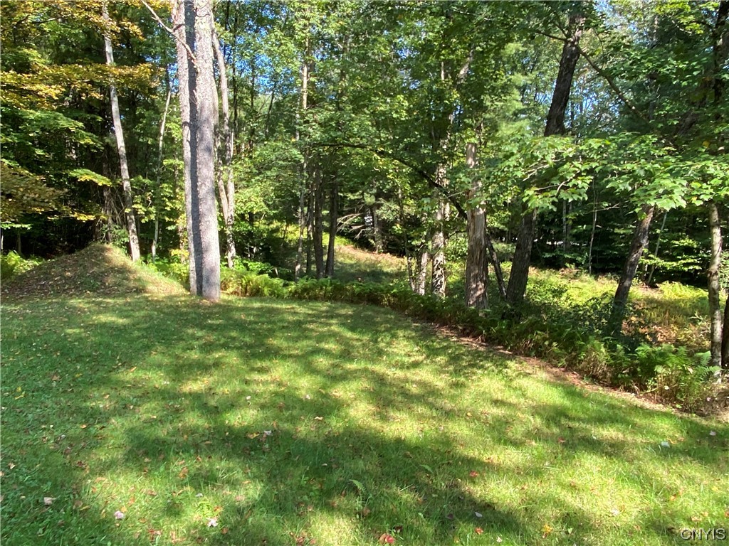 8 Stark Road Amboy, NY 13493 - Photo 12 of 49