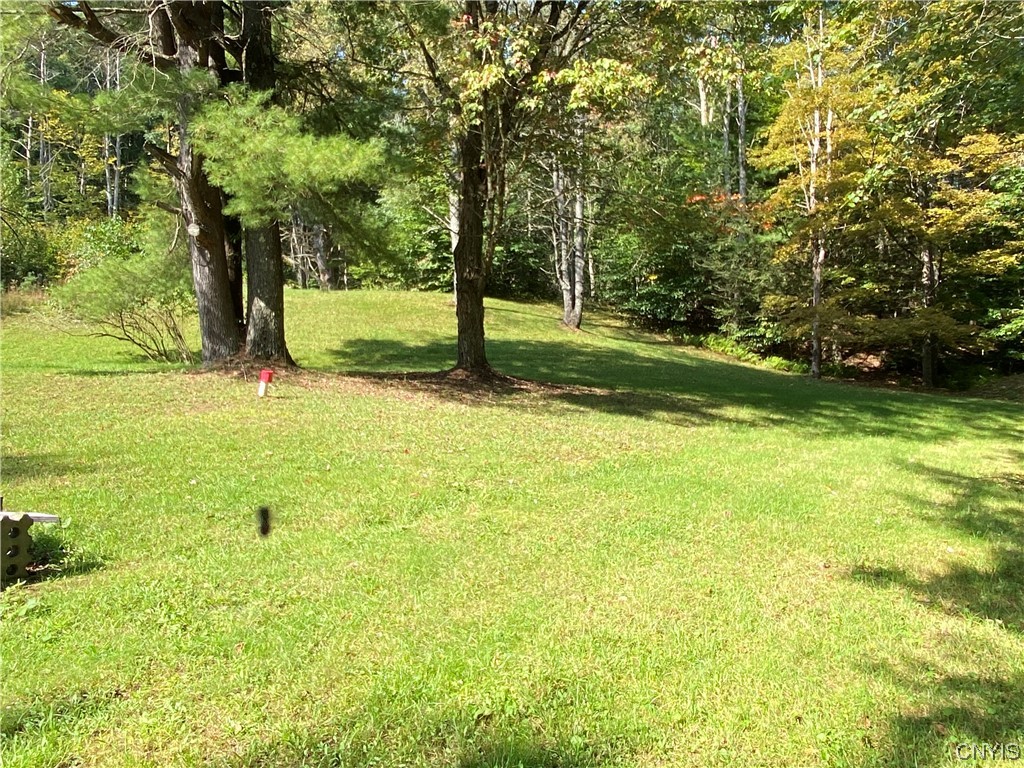 8 Stark Road Amboy, NY 13493 - Photo 9 of 49