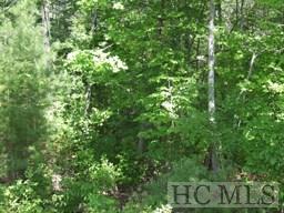 11 Trillium Ridge Road Sapphire, NC 28774 - Photo 2 of 7 Gallery Image 2