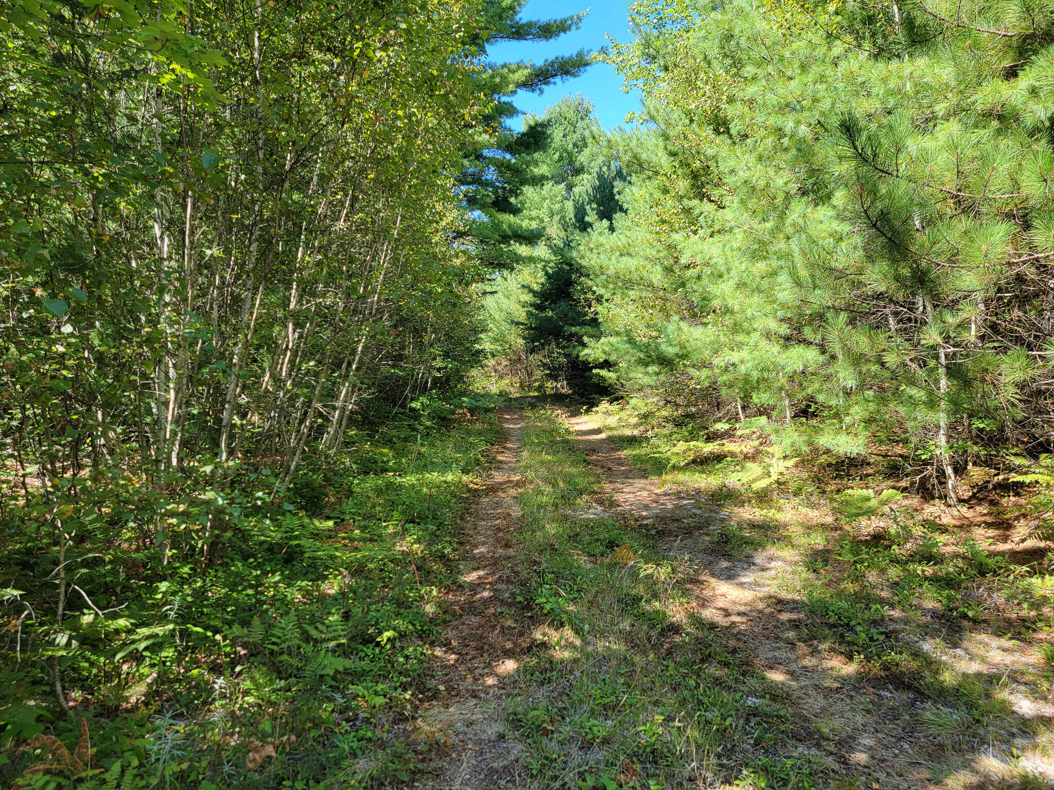 0 Crocker Turn Road Greenbush, ME 04418 - Photo 7 of 8 20220903_132319