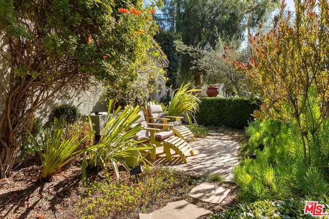 a view of a bunch of plants
