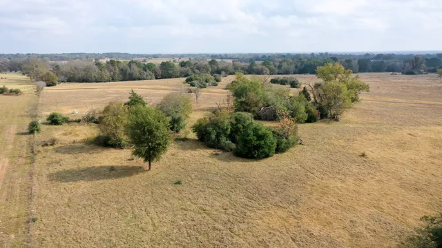 a view of a backyard of a house