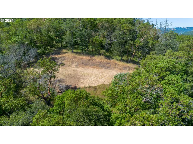 a open area with trees in the background