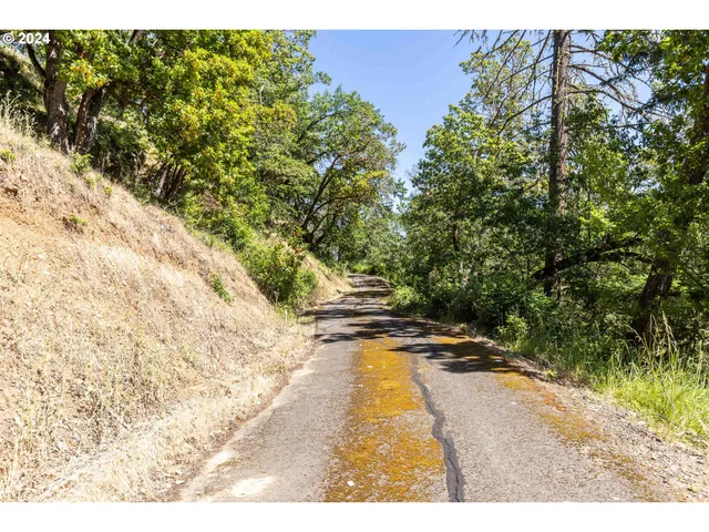 a view of a yard with a tree