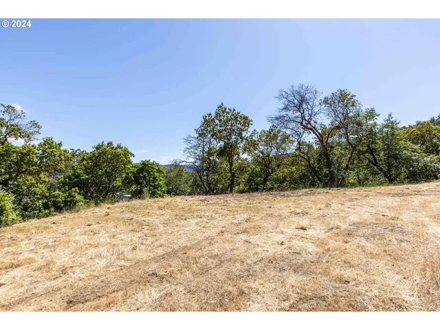 a view of a backyard of a house