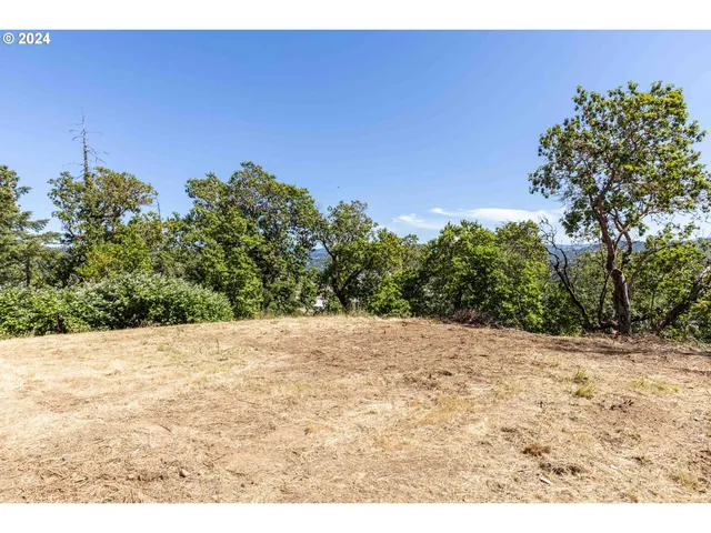 a view of a yard covered with snow in front of house